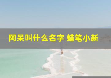 阿呆叫什么名字 蜡笔小新